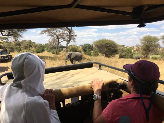 Saw the African Big Five!
