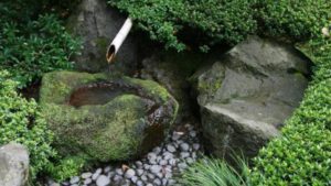 A small garden with rocks and plants