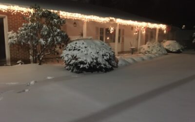 Dreaming of a White Christmas